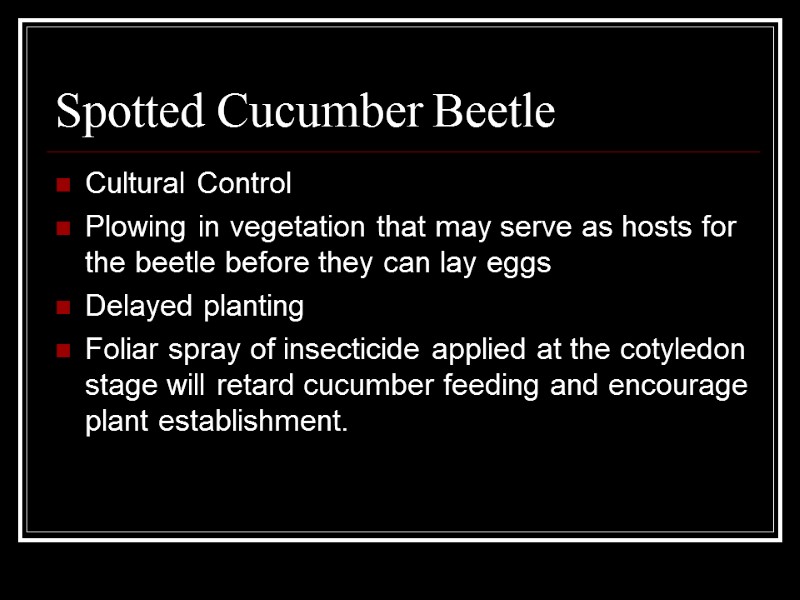 Spotted Cucumber Beetle Cultural Control Plowing in vegetation that may serve as hosts for